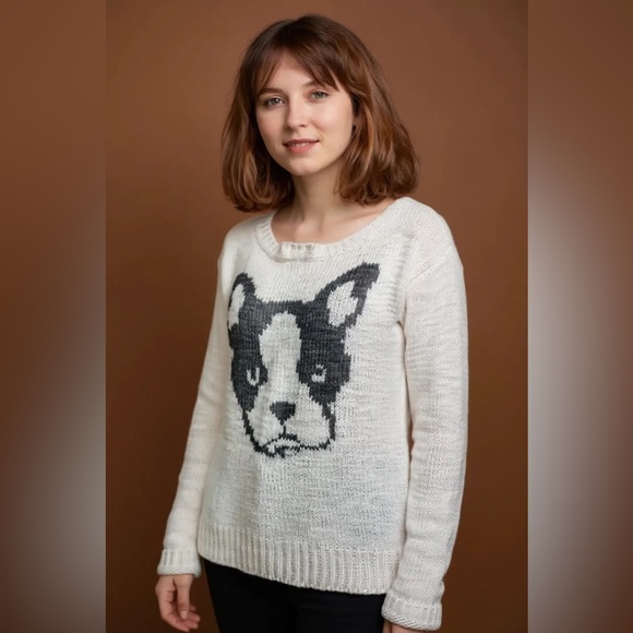 Aeropostale White Nubby Knit Boston Terrier Pug Wool Blend Sweater Top Size S - Picture 1 of 8